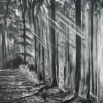 Nature ( forest) - Nandini Gal