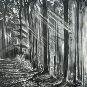 Nature ( forest) - Nandini Gal