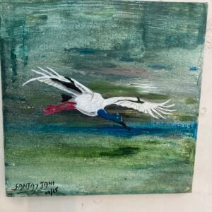 Birds ( black necked stork