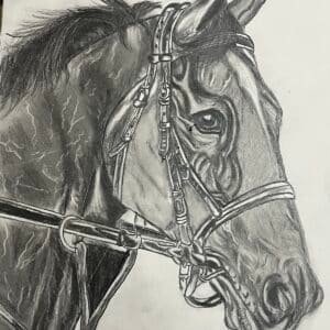 Horse pencil sketch art