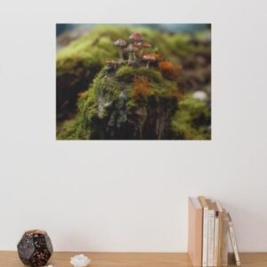 Forest Moss & Toadstool