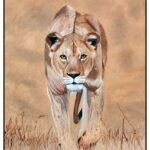 Lioness