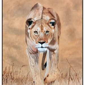 Lioness